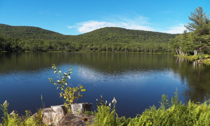 Windham Cabin | Woodside Cabin #2 on Lake Heloise