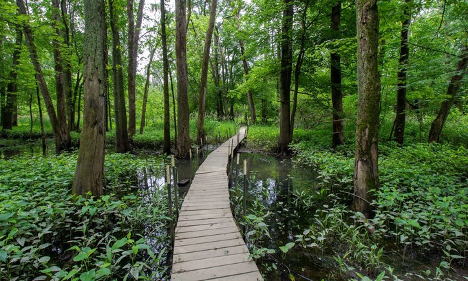 Chesterton House | Woodsy Retreat w/River Near Dunes - ADA Friendly