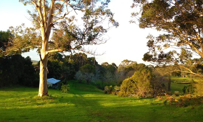 Torbay Ski Chalet | WREN COTTAGE Beaumaris Escape Torbay