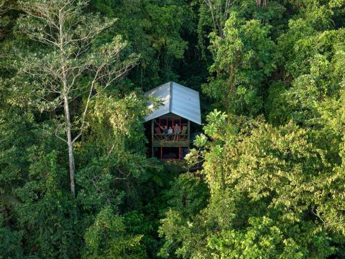 Las Horquetas Cabin | Yatama Rainforest Ecolodge