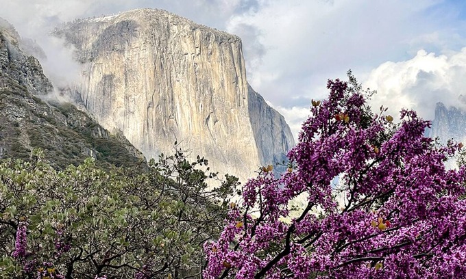 Yosemite West House | Yosemite Mountain Lodge