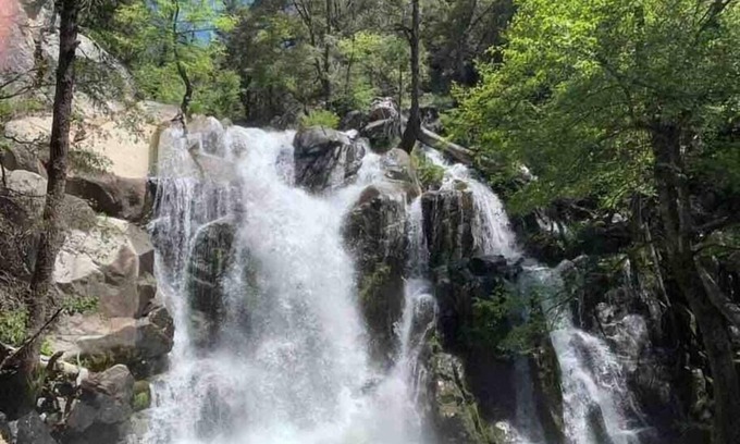 Fish Camp Cabin | Yosemite's Chalet In The Pines