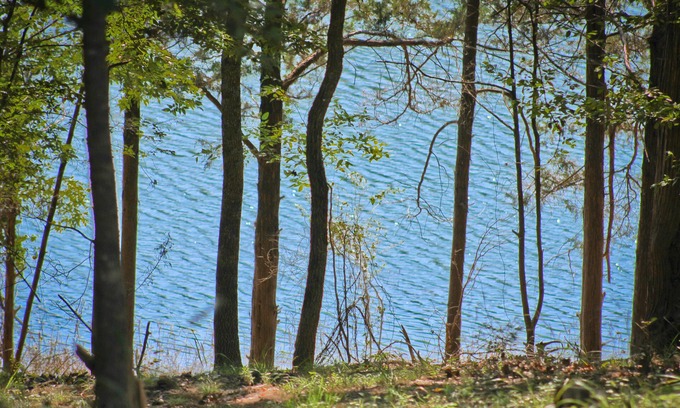 Yellville Cabin | You choose: Getaway, Gateway, or Both!