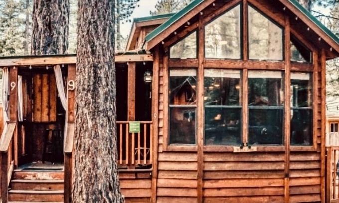 Tahoe Valley House | Your Tahoe Tiny House Escape PETS WELCOME!