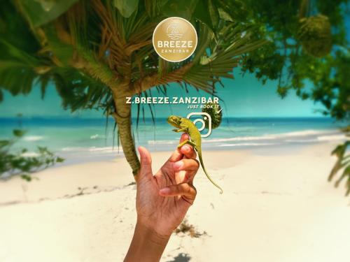 Kiwengwa Hotel | Z-Breeze Zanzibar