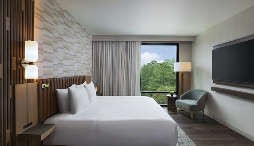 Premium Suite