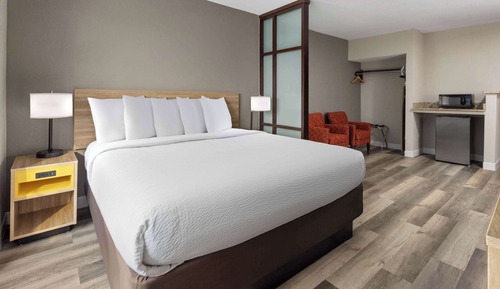 Room, 1 King Bed, Non Smoking