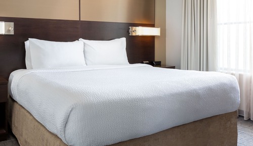 Suite, 1 King Bed with Sofa bed