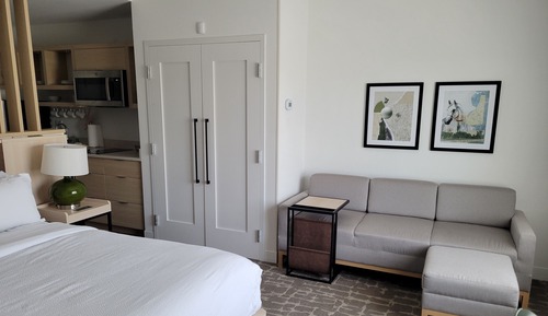 Studio, 1 King Bed with Sofa bed