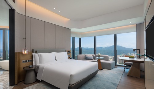 Premium Room, 1 King Bed, Mountain View