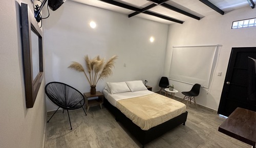 Basic Double or Twin Room