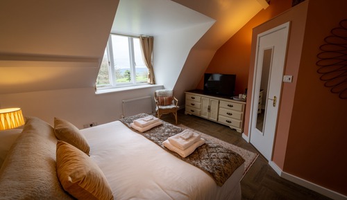 Deluxe Double or Twin Room, Garden View