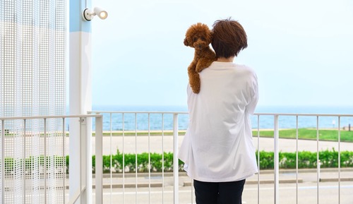 Standard Room, Ocean View