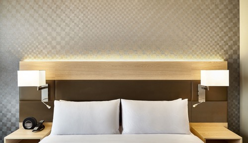 Room, 1 King Bed with Sofa bed