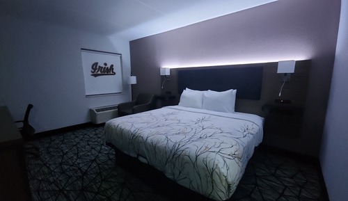 Room, 1 King Bed, Accessible, Bathtub (Mobility/Hearing Accessible)