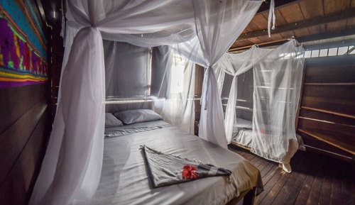 Standard Room, Multiple Beds