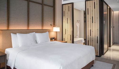 Deluxe Street View King Room