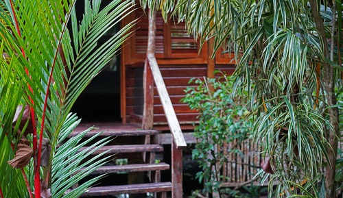 Family Cabin