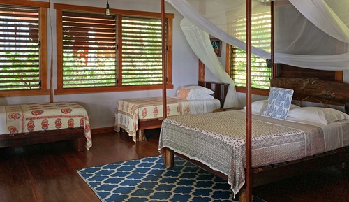 Premium Cabin