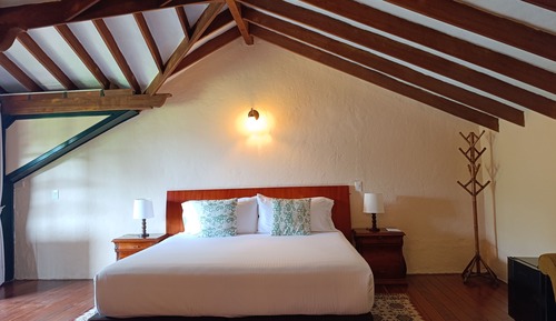 Premier Room, 1 King Bed, Garden View