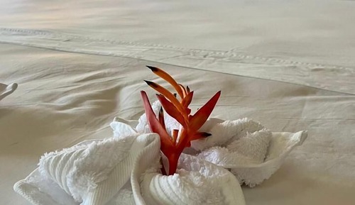 Family Cottage, Ensuite, Lagoon View (Jungle House Familiale)