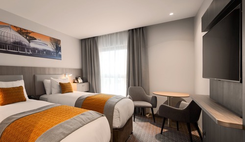 Deluxe Twin Room
