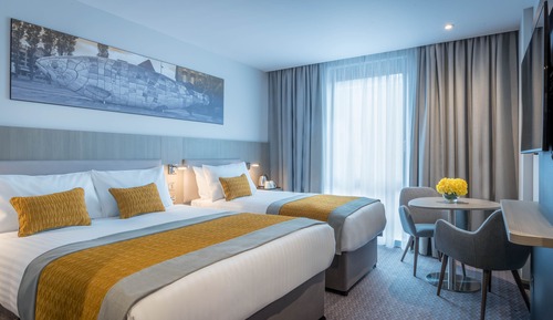 Deluxe Double Single Room