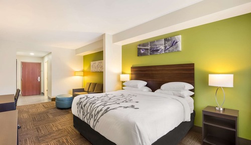 Standard Room, 1 King Bed with Sofa bed, Non Smoking