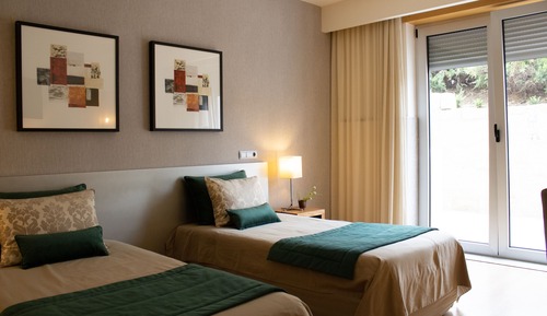 Deluxe Twin Room, Terrace
