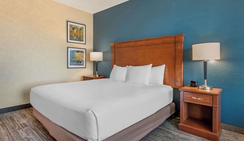 Deluxe Room, 1 King Bed, Accessible, Refrigerator & Microwave (Roll in Shower)