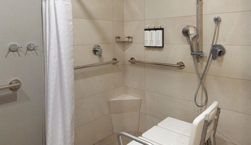 Room, 1 King Bed with Sofa bed, Accessible (Roll-In Shower)