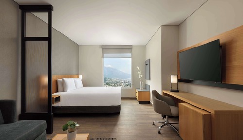 Room, 1 King Bed with Sofa bed