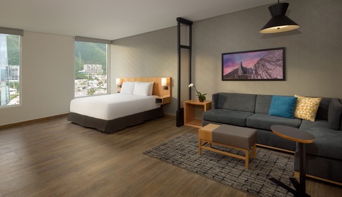 Room, 1 King Bed with Sofa bed, Accessible, Bathtub