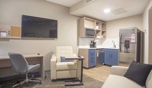Suite, 1 Bedroom, View (Mall View)