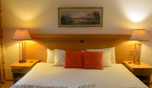 Luxury Double or Twin Room