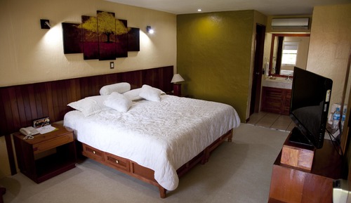 Standard Room, 1 King Bed