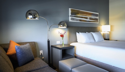 Room, 1 King Bed