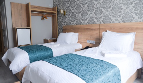 Basic Triple Room