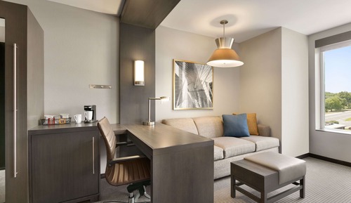 Suite, 1 King with Sofa bed (Accessible Room with Shower)