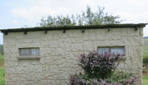 Basic Twin Room, Shared Bathroom