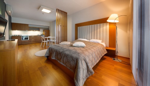 Luxury Apartment