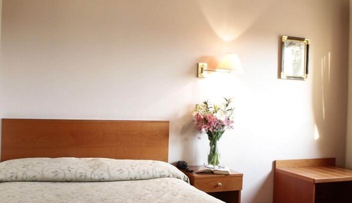 Basic Single Room, Garden View