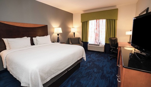 Room, 1 King Bed
