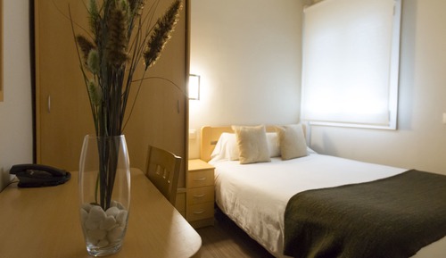 Single Room, 1 Double Bed