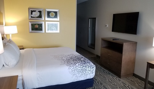 Room, 1 King Bed, Non Smoking