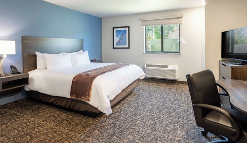 Room, 1 Queen Bed, Accessible (Mobility/Hearing w Roll in shower)