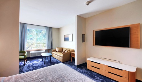 Studio Suite, 1 King Bed with Sofa bed, Non Smoking (Mobility Accessible, Tub)