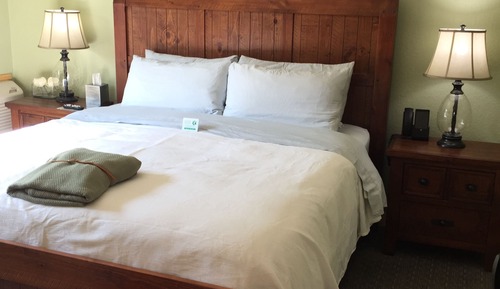 Room, 1 King Bed (Room 11)