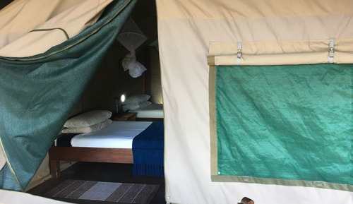 Comfort Tent