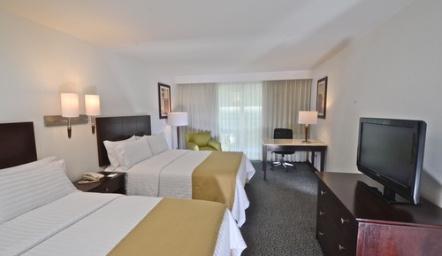 Standard Room, 2 Double Beds